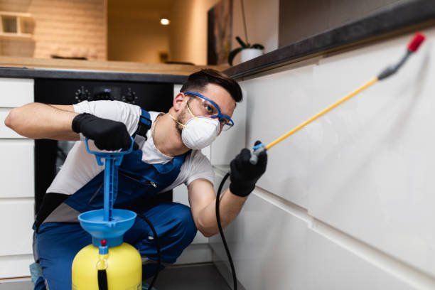 Best Pest Prevention Services  in Trumann, AR