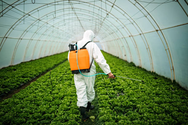 Best Local Pest Control Services  in Trumann, AR
