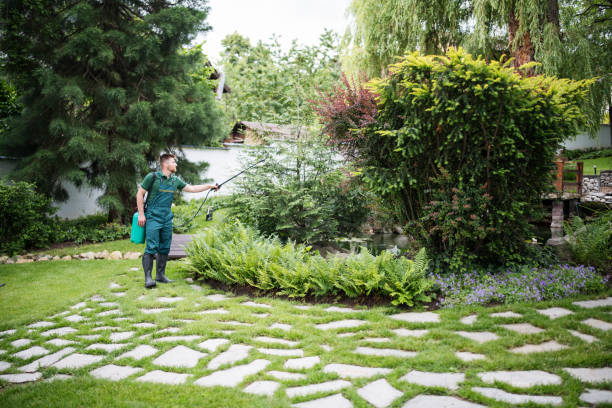 Best Mosquito Control Services  in Trumann, AR