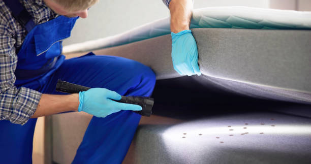 Best Pest Removal Services  in Trumann, AR