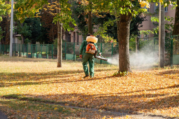 Trusted Trumann, AR Pest Control Experts